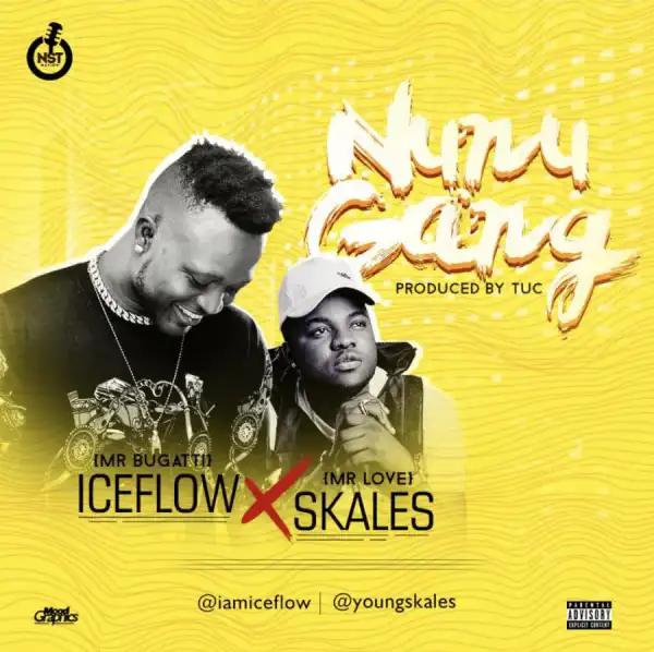 Iceflow - Nunu Gang ft. Skales